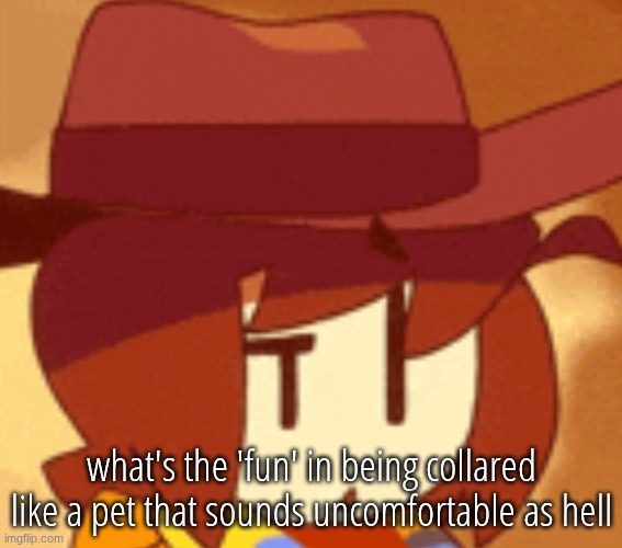 qhat | what's the 'fun' in being collared like a pet that sounds uncomfortable as hell | image tagged in qhat | made w/ Imgflip meme maker