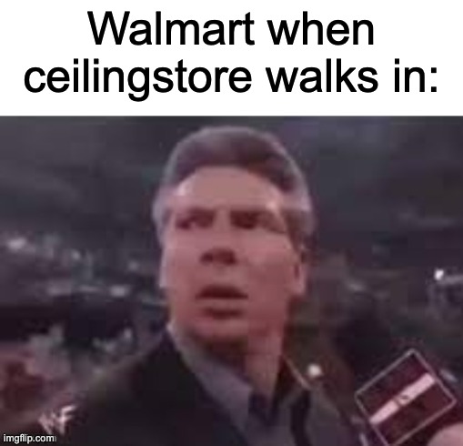 x when x walks in | Walmart when ceilingstore walks in: | image tagged in x when x walks in | made w/ Imgflip meme maker