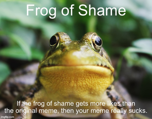 Frog of Shame (Fries' version) V1 | image tagged in frog of shame fries' version v1 | made w/ Imgflip meme maker