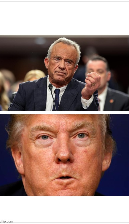 Bobby trump Blank Meme Template