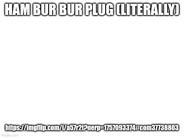 HAM BUR BUR PLUG (LITERALLY); https://imgflip.com/i/a57r2t?nerp=1757093374#com37738803 | made w/ Imgflip meme maker