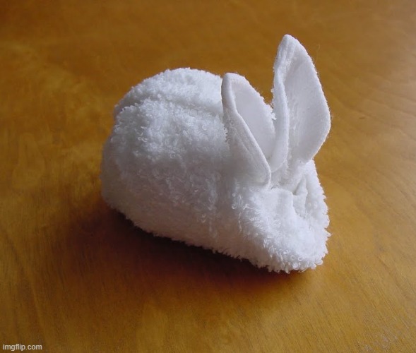 image tagged in bunny | made w/ Imgflip meme maker