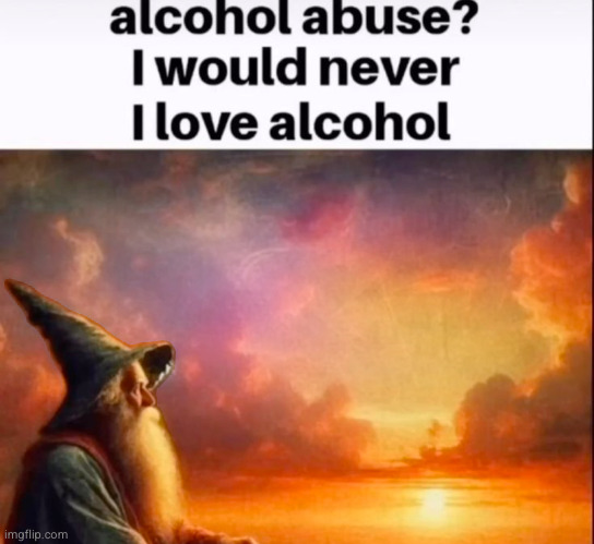 I love alcohol | image tagged in alcohol,funny,wizard,wise words,wisdom,smart | made w/ Imgflip meme maker