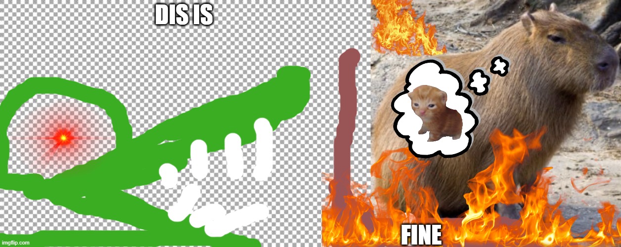 DIS IS; FINE | image tagged in free,capybara | made w/ Imgflip meme maker