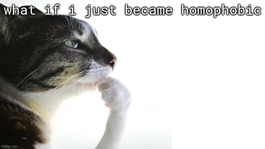 ​ | what if i just became homophobic | image tagged in thinker | made w/ Imgflip meme maker