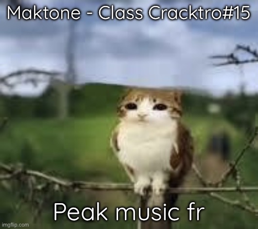 Genuinely, in fact the entire OST of Infinitode 2 is pretty peak in general | Maktone - Class Cracktro#15; Peak music fr | image tagged in owl cat | made w/ Imgflip meme maker