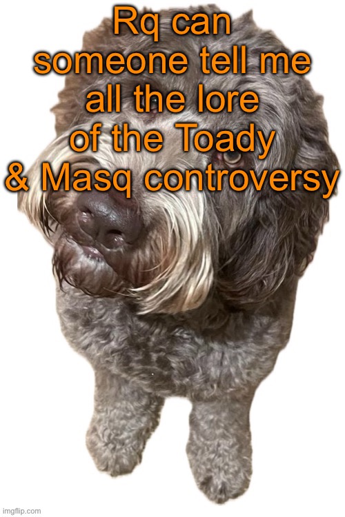 Norther's dog | Rq can someone tell me all the lore of the Toady & Masq controversy | image tagged in norther's dog | made w/ Imgflip meme maker