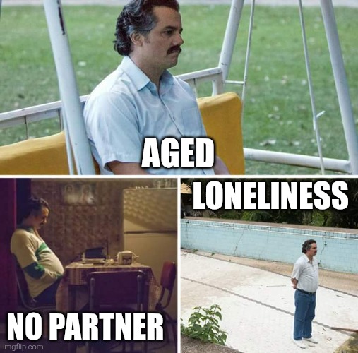 Sad Pablo Escobar Meme | AGED; LONELINESS; NO PARTNER | image tagged in memes,sad pablo escobar | made w/ Imgflip meme maker