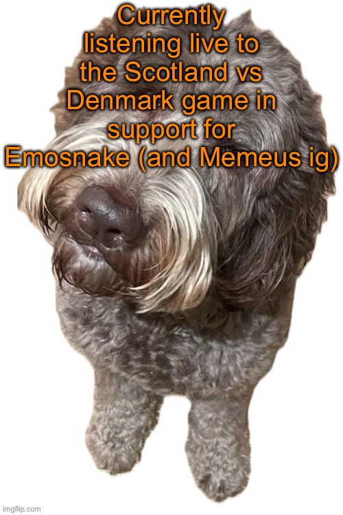 I hope for them that the Scots win | Currently listening live to the Scotland vs Denmark game in support for Emosnake (and Memeus ig) | image tagged in norther's dog | made w/ Imgflip meme maker