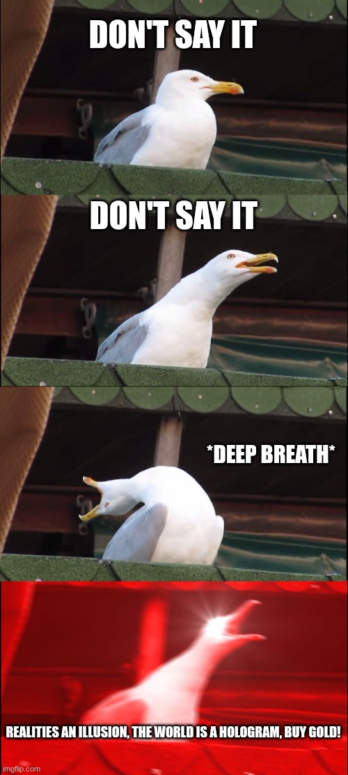 Bill cipher if he was hiding as a seagull: | DON'T SAY IT; DON'T SAY IT; *DEEP BREATH*; REALITIES AN ILLUSION, THE WORLD IS A HOLOGRAM, BUY GOLD! | image tagged in memes,inhaling seagull | made w/ Imgflip meme maker