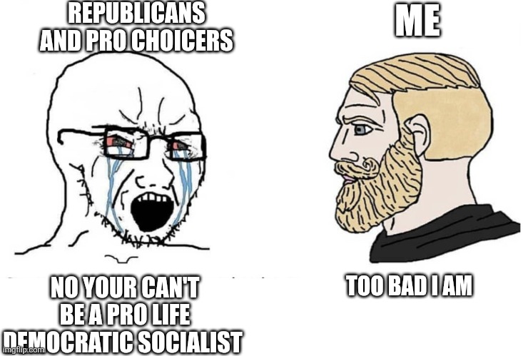 Bro they get mad | REPUBLICANS AND PRO CHOICERS; ME; NO YOUR CAN'T BE A PRO LIFE DEMOCRATIC SOCIALIST; TOO BAD I AM | image tagged in soyboy vs yes chad | made w/ Imgflip meme maker