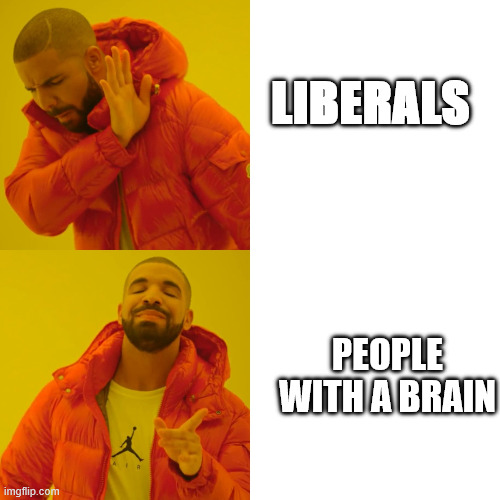 LIBERALS PEOPLE WITH A BRAIN | image tagged in memes,drake hotline bling | made w/ Imgflip meme maker