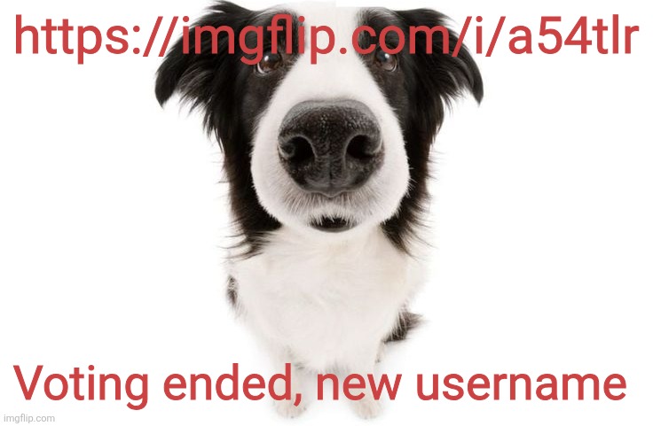 https://imgflip.com/i/a54tlr; Voting ended, new username | made w/ Imgflip meme maker