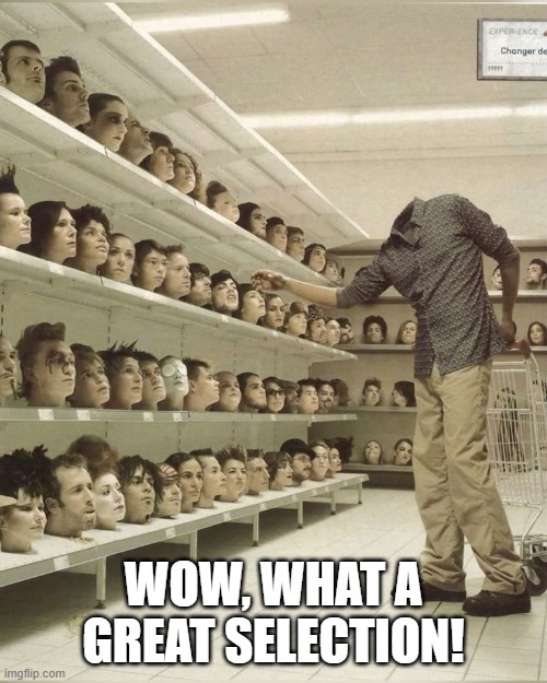 Heads | WOW, WHAT A GREAT SELECTION! | image tagged in cursed image | made w/ Imgflip meme maker