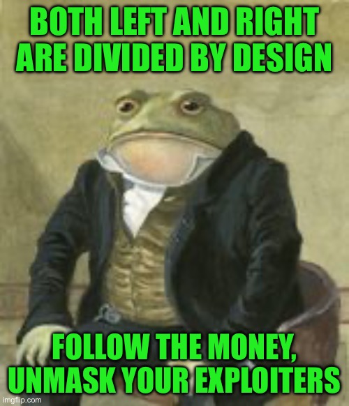 Colonel Toad | BOTH LEFT AND RIGHT ARE DIVIDED BY DESIGN; FOLLOW THE MONEY, UNMASK YOUR EXPLOITERS | image tagged in colonel toad | made w/ Imgflip meme maker