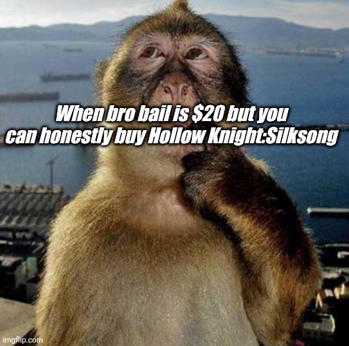 When song is silk | When bro bail is $20 but you can honestly buy Hollow Knight:Silksong | image tagged in memes,shitpost,hollow knight,silksong,oh wow are you actually reading these tags | made w/ Imgflip meme maker