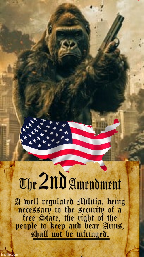 Second Amendment | image tagged in 2nd amendment | made w/ Imgflip meme maker