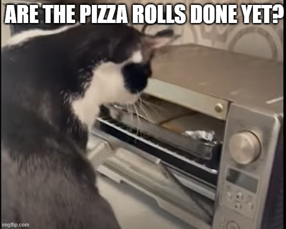 ARE THE PIZZA ROLLS DONE YET? | made w/ Imgflip meme maker
