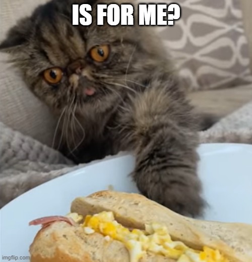 IS FOR ME? | made w/ Imgflip meme maker