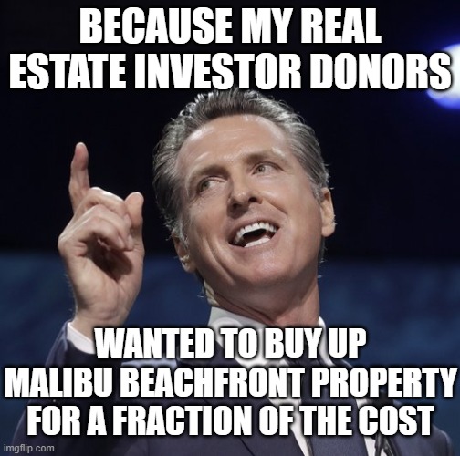 Gavin newsom | BECAUSE MY REAL ESTATE INVESTOR DONORS WANTED TO BUY UP MALIBU BEACHFRONT PROPERTY FOR A FRACTION OF THE COST | image tagged in gavin newsom | made w/ Imgflip meme maker