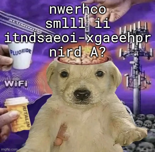 nwerhco smlll ii itndsaeoi-xgaeehpr nird A? | made w/ Imgflip meme maker