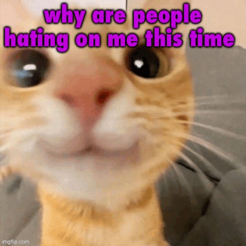 kitty | why are people hating on me this time | image tagged in him | made w/ Imgflip meme maker
