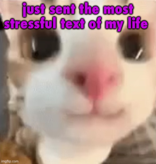 you don’t get context | just sent the most stressful text of my life | image tagged in hai 3 | made w/ Imgflip meme maker