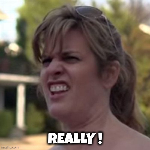 seriously? | REALLY ! | image tagged in seriously | made w/ Imgflip meme maker