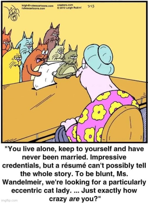 image tagged in cats,comics,rubes,crazy cat lady,interview | made w/ Imgflip meme maker