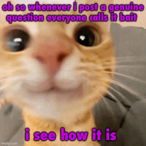 kitty | oh so whenever i post a genuine question everyone calls it bait; i see how it is | image tagged in him | made w/ Imgflip meme maker
