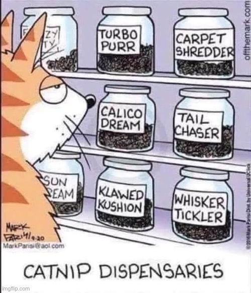 It’s nice to have a variety of nip to choose from… | image tagged in cats,comics,off the mark,catnip,dispensary | made w/ Imgflip meme maker