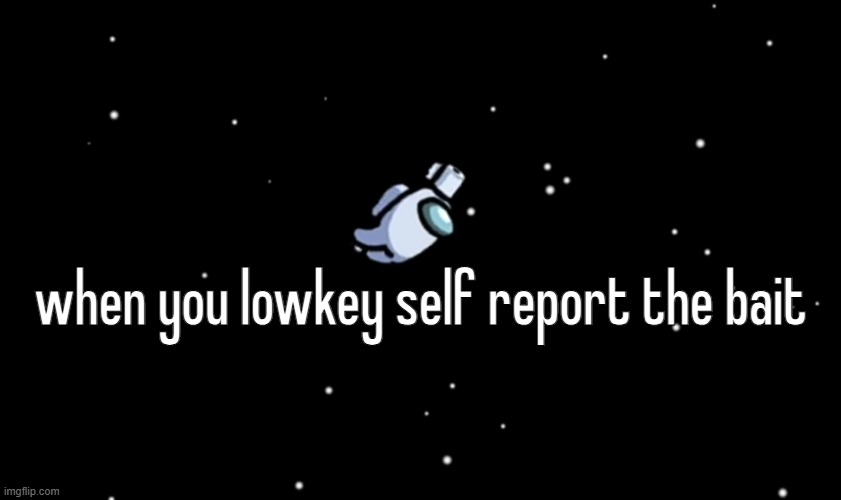 Among Us ejected | when you lowkey self report the bait | image tagged in among us ejected | made w/ Imgflip meme maker