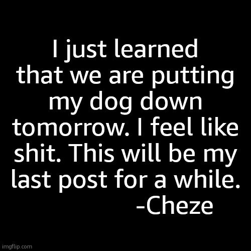 I just learned that we are putting my dog down tomorrow. I feel like shit. This will be my last post for a while.
               -Cheze | made w/ Imgflip meme maker