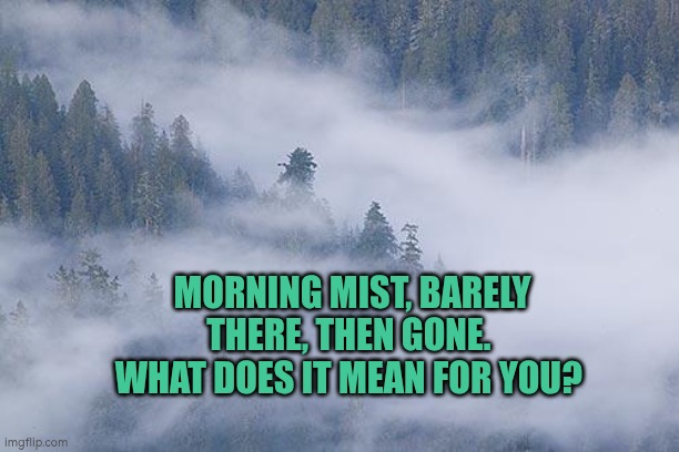 Morning mist, what does it mean to you | MORNING MIST, BARELY THERE, THEN GONE.  WHAT DOES IT MEAN FOR YOU? | image tagged in foggy,mist | made w/ Imgflip meme maker