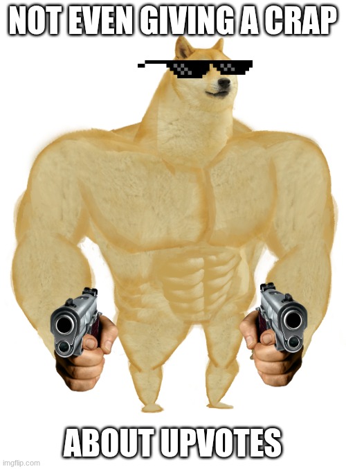 Swole Doge | NOT EVEN GIVING A CRAP ABOUT UPVOTES | image tagged in swole doge | made w/ Imgflip meme maker