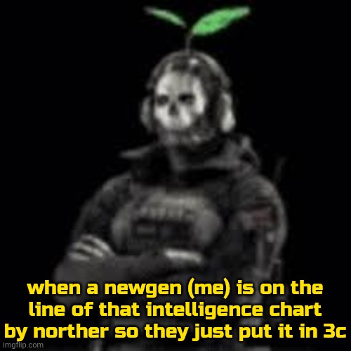nother i want 1c | when a newgen (me) is on the line of that intelligence chart by norther so they just put it in 3c | image tagged in ghost plant | made w/ Imgflip meme maker