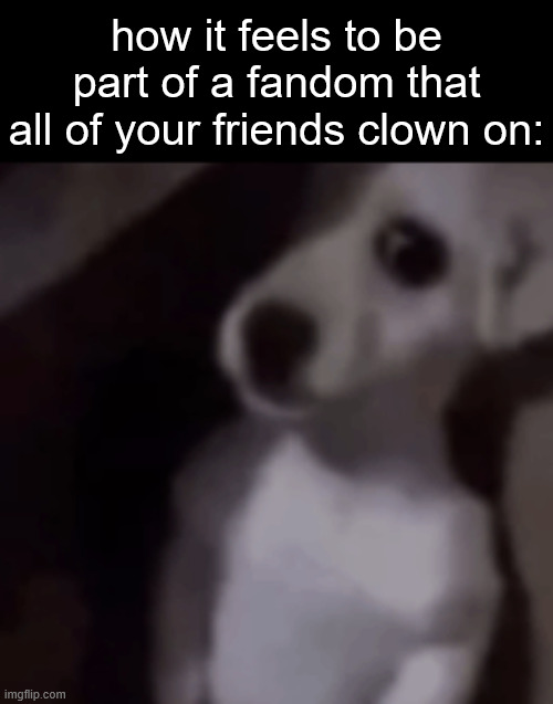 how it feels to be part of a fandom that all of your friends clown on: | made w/ Imgflip meme maker