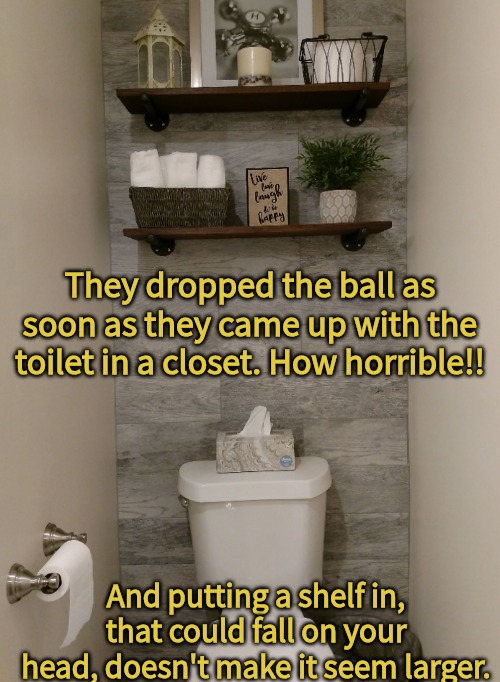 They dropped the ball as soon as they came up with the toilet in a closet. How horrible!! And putting a shelf in, that could fall on your he | made w/ Imgflip meme maker