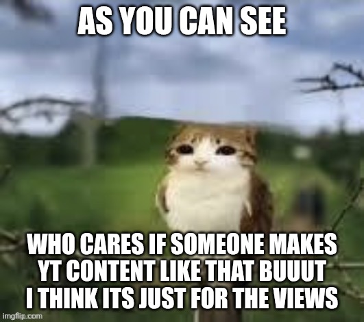 A meowl | AS YOU CAN SEE WHO CARES IF SOMEONE MAKES YT CONTENT LIKE THAT BUUUT I THINK ITS JUST FOR THE VIEWS | image tagged in a meowl | made w/ Imgflip meme maker