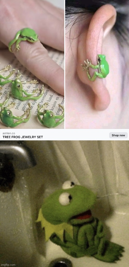 You wanna do WHAT with Kermit? | image tagged in kermit,jewelry,fashion,jewellery | made w/ Imgflip meme maker