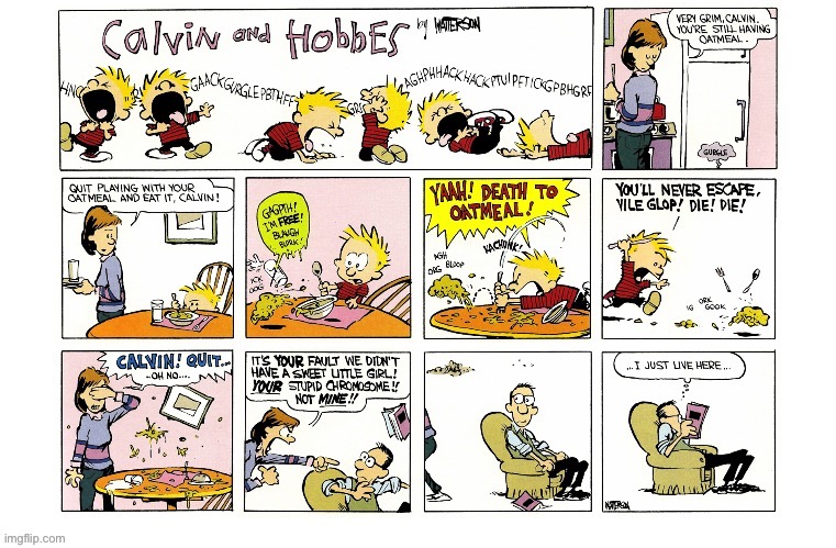 I’ve heard of “food fights”, but this is ridiculous! | image tagged in calvin and hobbes,comics,breakfast,oatmeal monster,blame,food fight | made w/ Imgflip meme maker