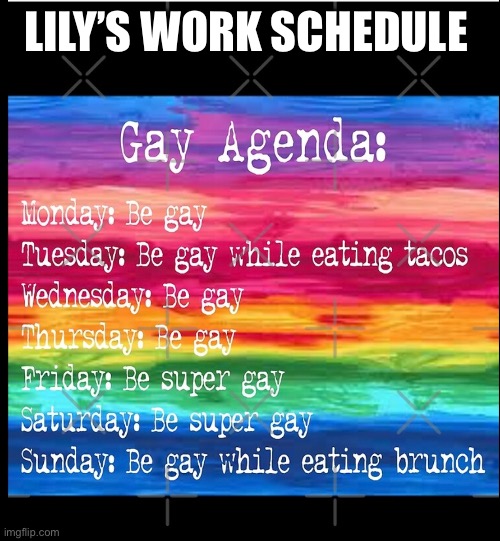 work schedule | LILY’S WORK SCHEDULE | image tagged in gay agenda,too funny,insults | made w/ Imgflip meme maker