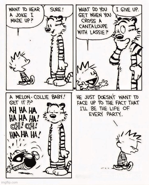 Hobbes has a very selective sense of humor… | image tagged in calvin and hobbes,comics,joke,not funny | made w/ Imgflip meme maker