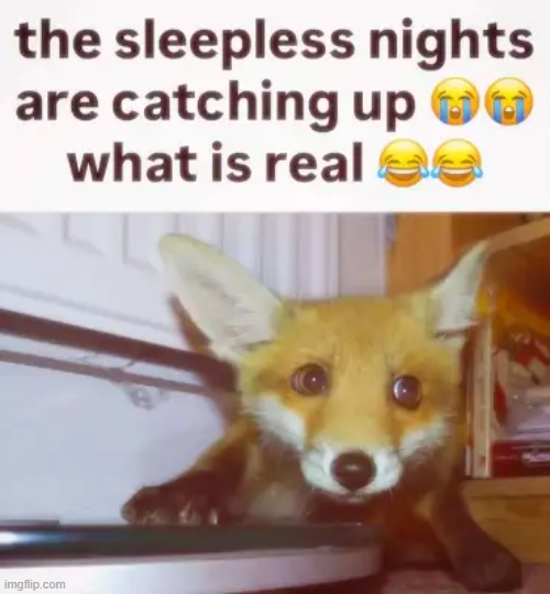 feeling this | image tagged in rmk | made w/ Imgflip meme maker