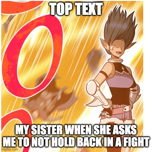 TOP TEXT; MY SISTER WHEN SHE ASKS ME TO NOT HOLD BACK IN A FIGHT | image tagged in memes,siblings | made w/ Imgflip meme maker