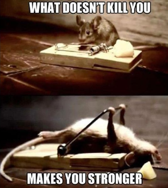 What doesn't kill you makes you stronger Blank Meme Template