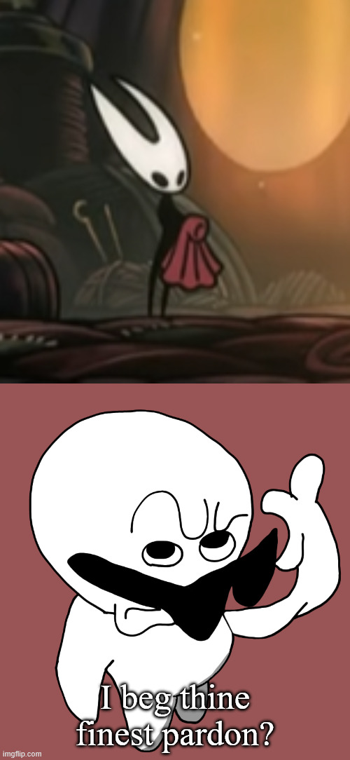 I beg thine pardon HD | I beg thine finest pardon? | image tagged in i beg thine pardon hd,hollow knight | made w/ Imgflip meme maker
