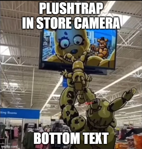 PLUSHTRAP IN STORE CAMERA; BOTTOM TEXT | image tagged in fnaf,walmart | made w/ Imgflip meme maker