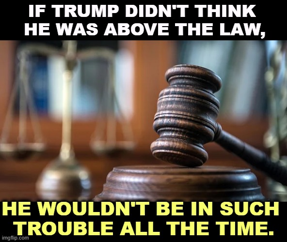 The Trump Administration keeps losing cases. | IF TRUMP DIDN'T THINK 
HE WAS ABOVE THE LAW, HE WOULDN'T BE IN SUCH 
TROUBLE ALL THE TIME. | image tagged in judge gavel,trump,law,court,loser | made w/ Imgflip meme maker