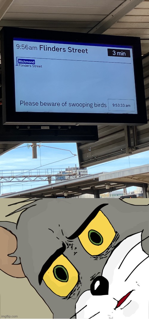 Please beware of swooping birds | made w/ Imgflip meme maker